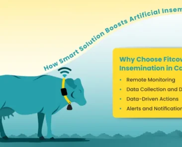 artificial insemination in cattle