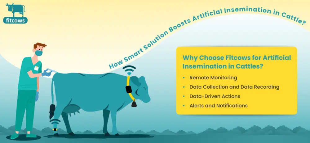 artificial insemination in cattle