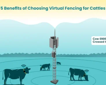 virtual fencing for cattles