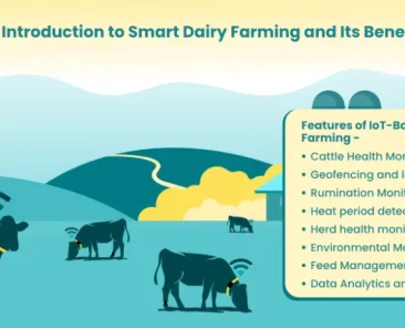 smart dairy farming