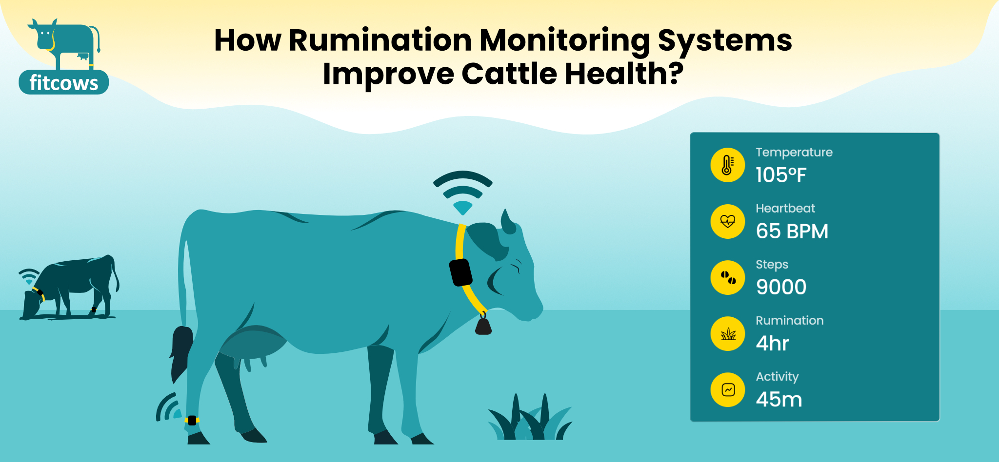 rumination monitoring