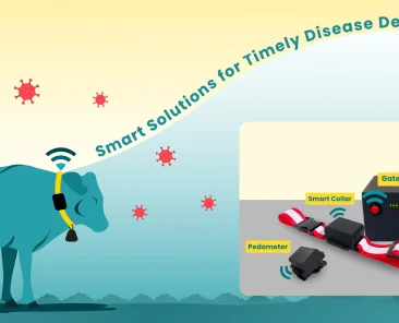 disease detection in cattle