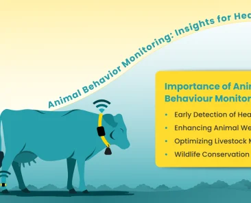 animal behavior monitoring